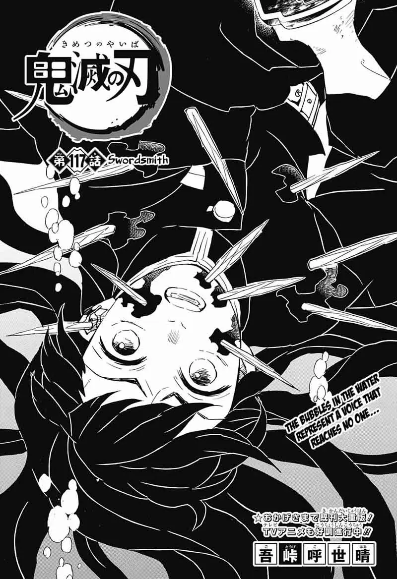Chapter 117
